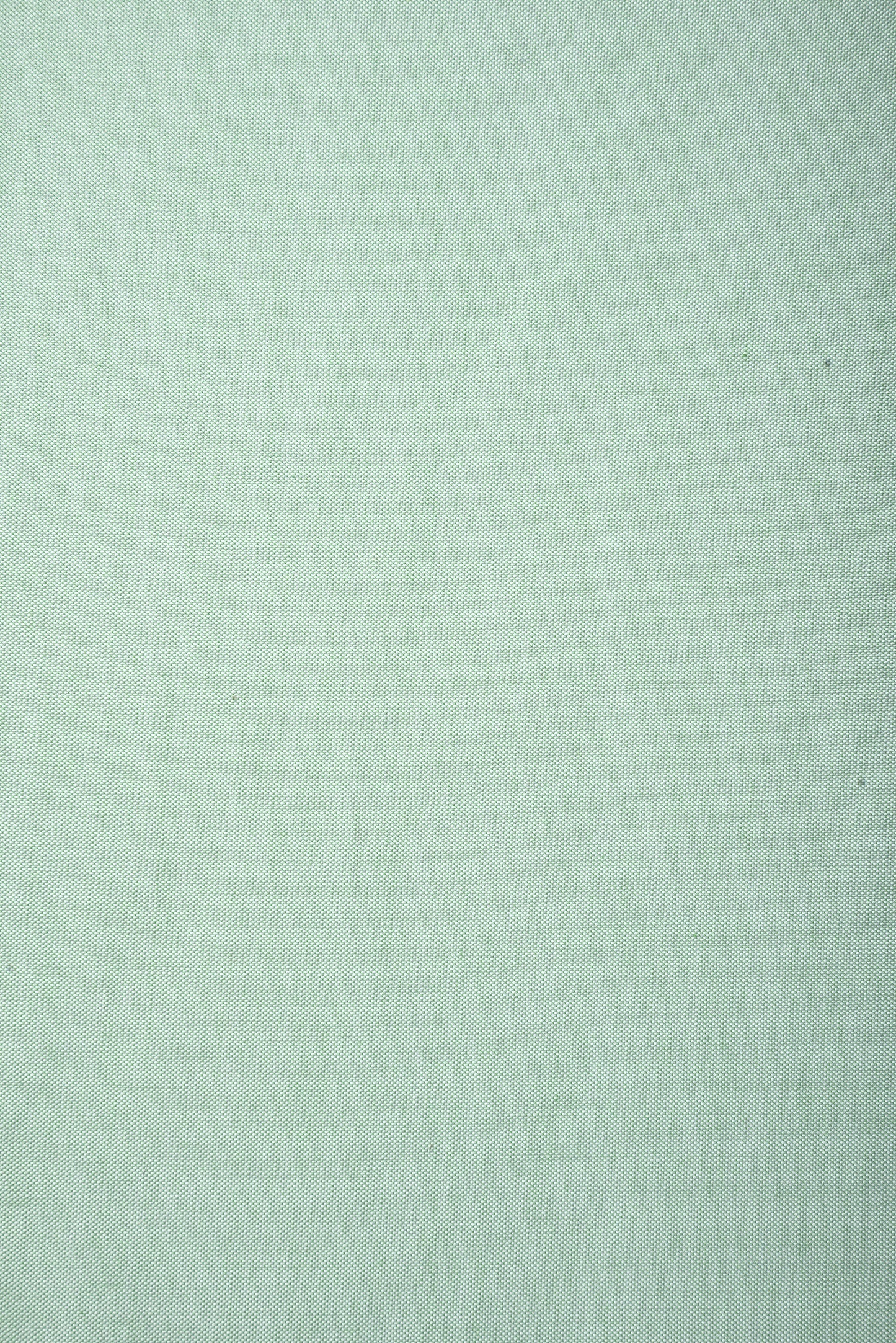 Light Pistachio Green Dress Chambray Shirt