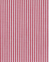 Red Dress Stripes