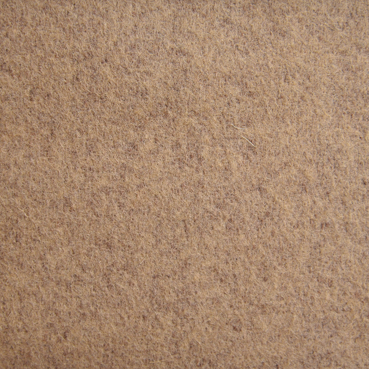 Camel Wool Chino - 10