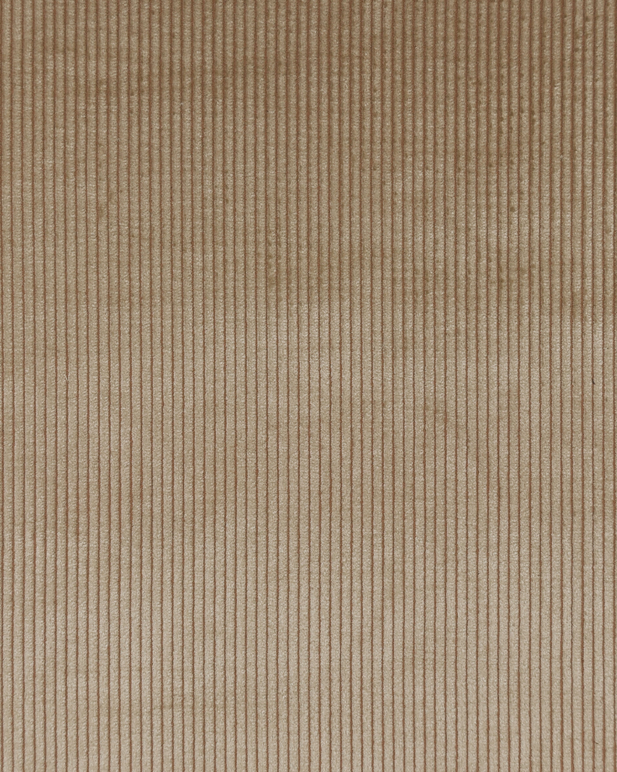 Modrone 4-wale Tan Corduroy - 9