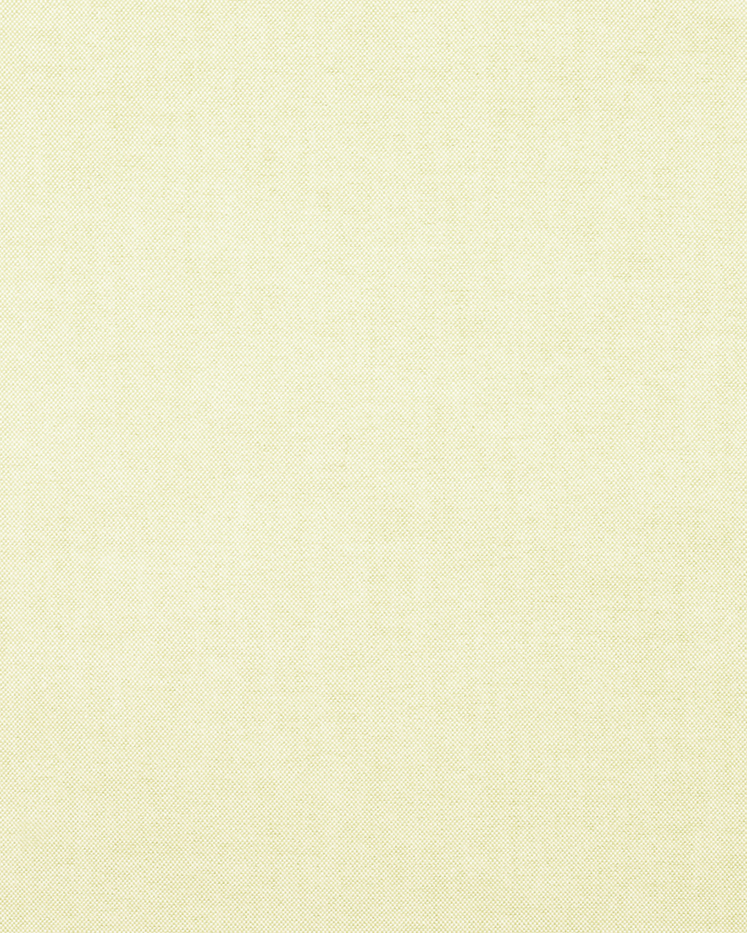 Lemon Washed Oxford - 4
