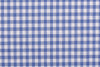 Ultramarine Light Blue Checks on White