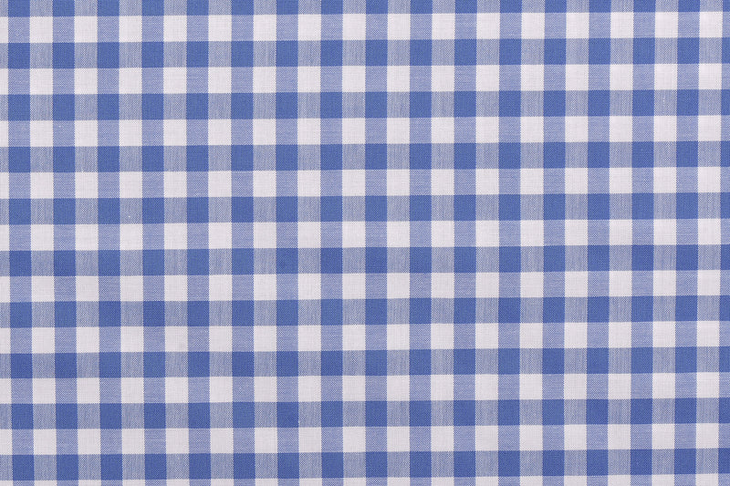 Ultramarine Light Blue Checks on White