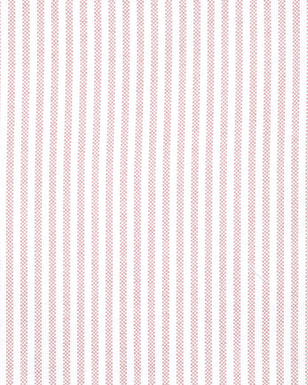Pink University Stripes Oxford - 4