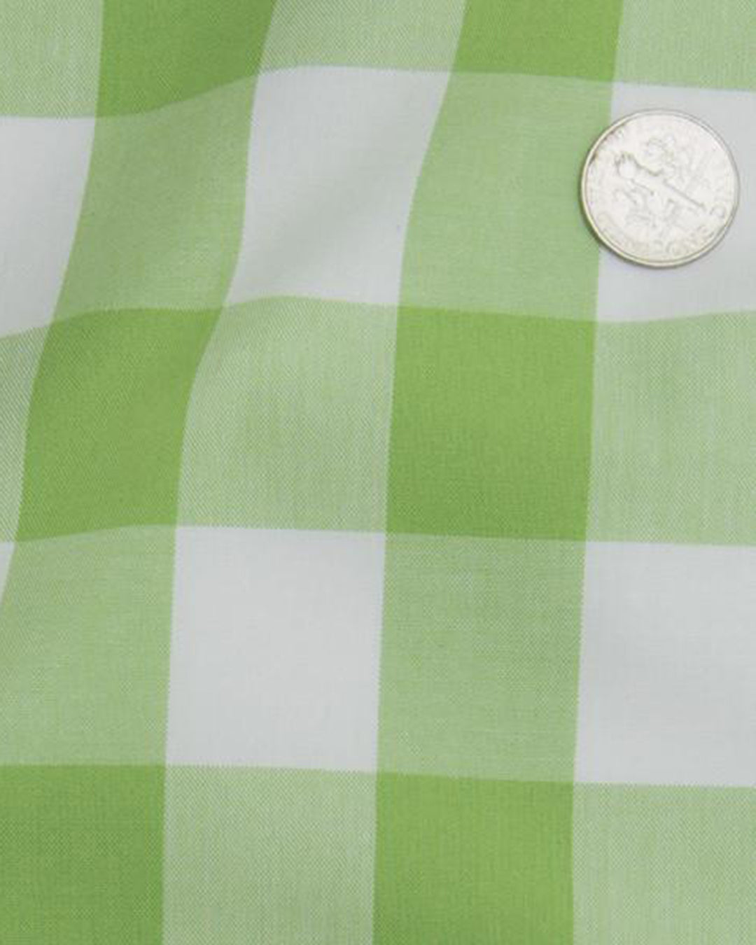 Light Apple Green Windowpane Checks - 5