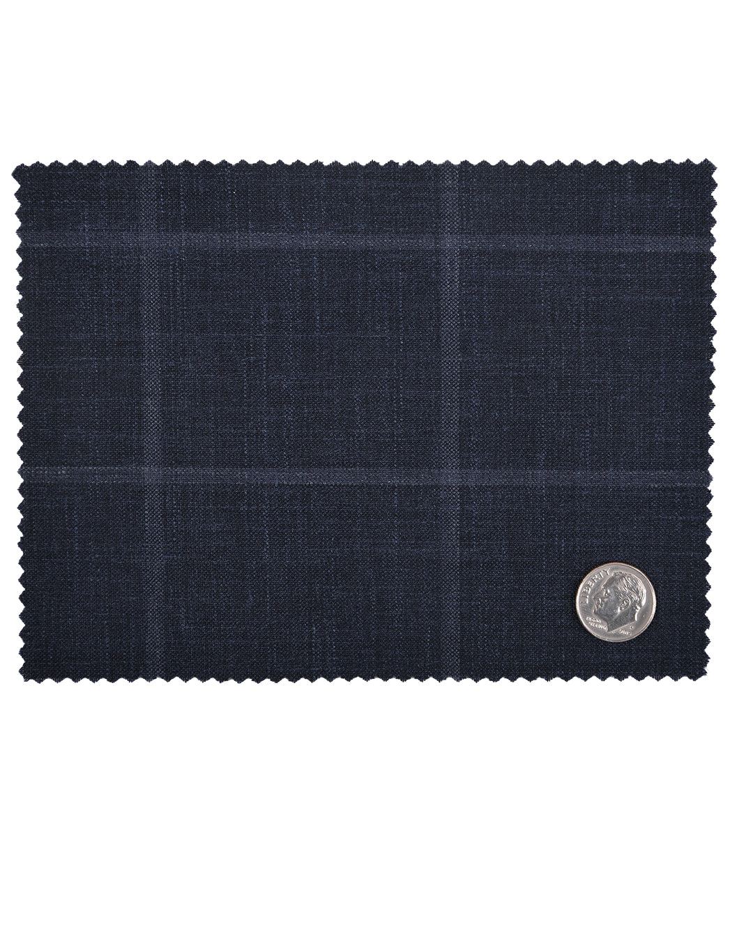 Loro Piana: Dark Blue Windowpane - 7