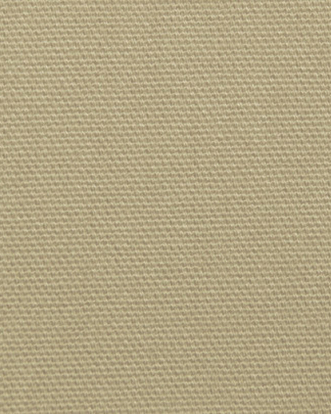 Brisbane Moss Cream Canvas - 2