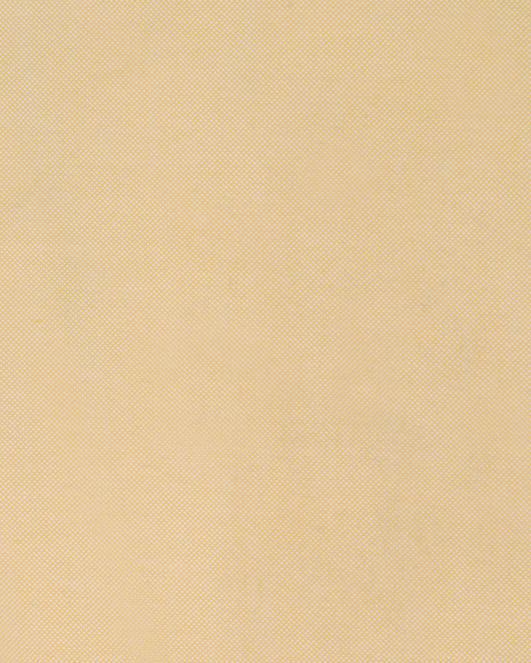 Wrinkle Free Travel Oxford: Egg Nog Yellow - 5